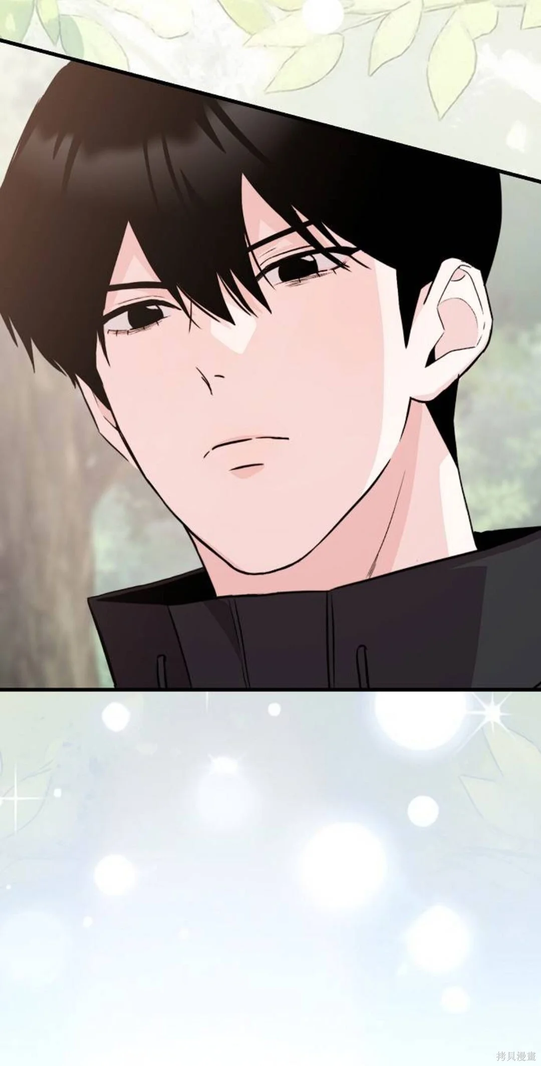 第369页