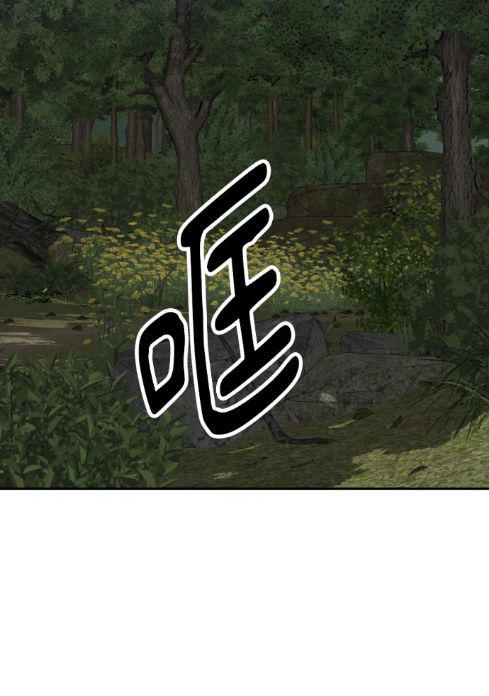 第411页