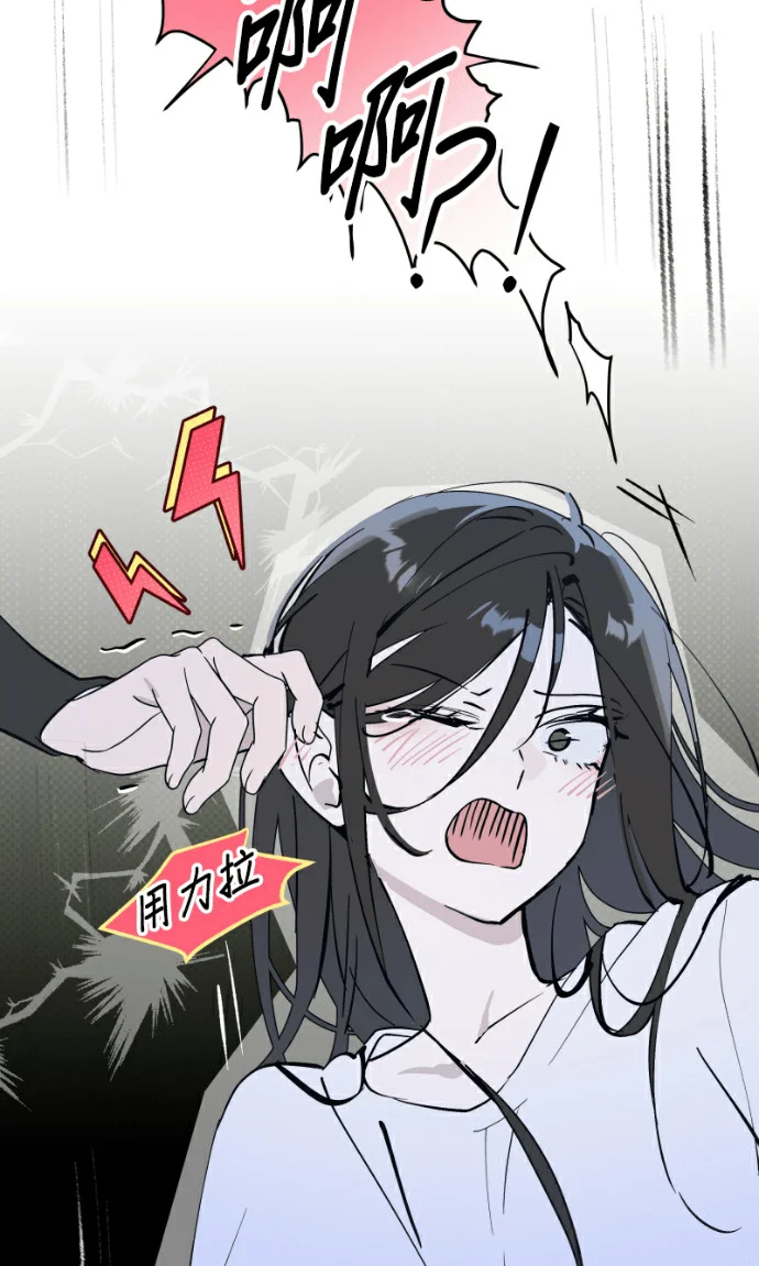 第255页