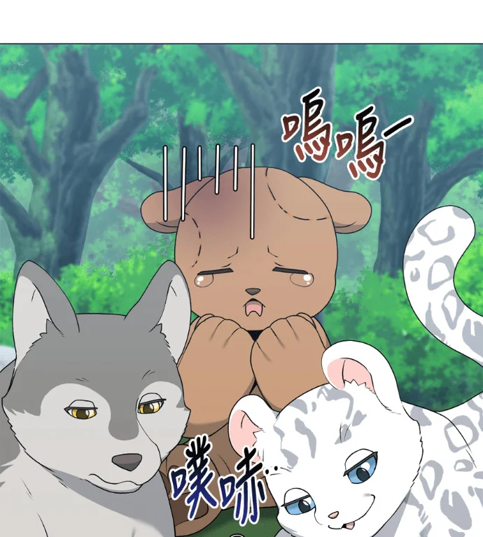 第234页