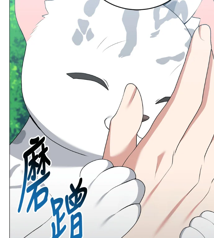 第264页
