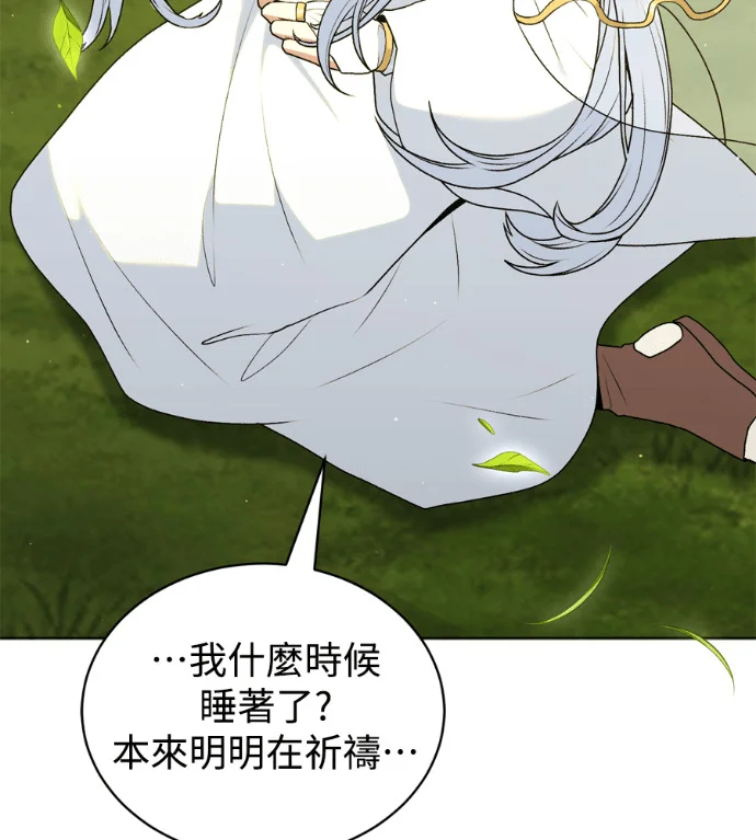 第219页