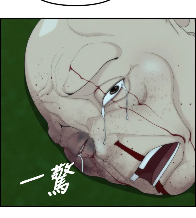 第537页
