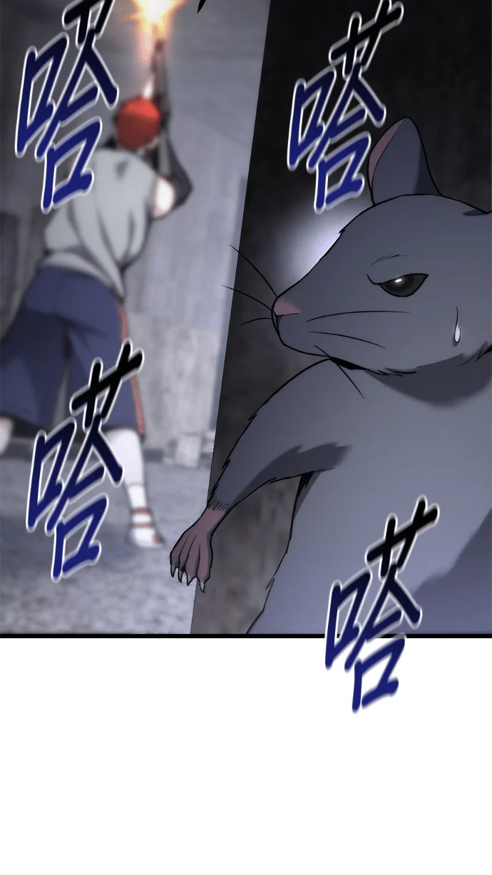第255页