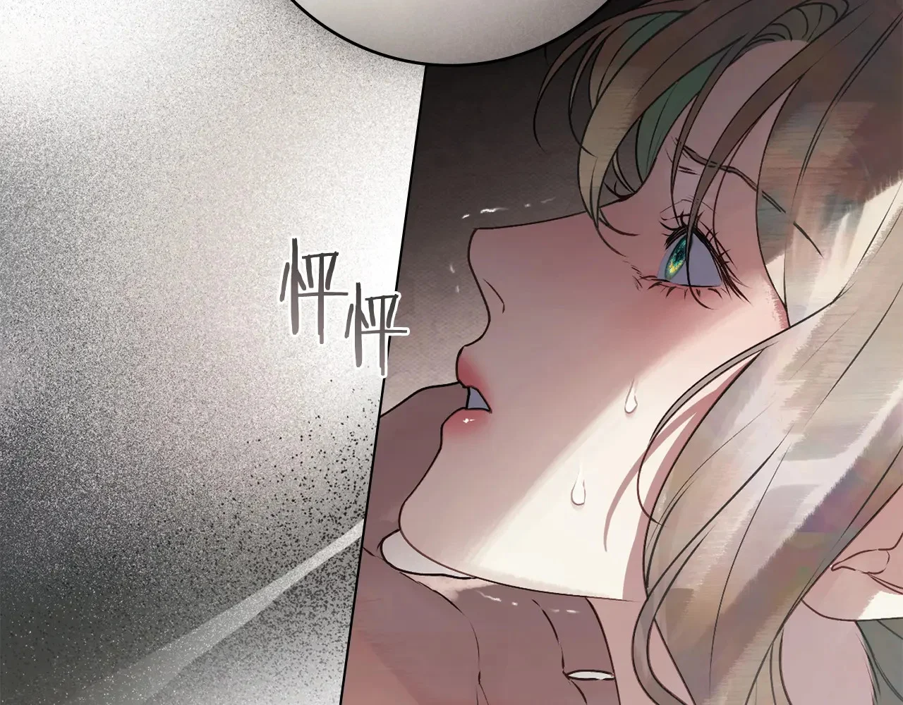 第495页