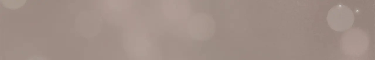 第282页