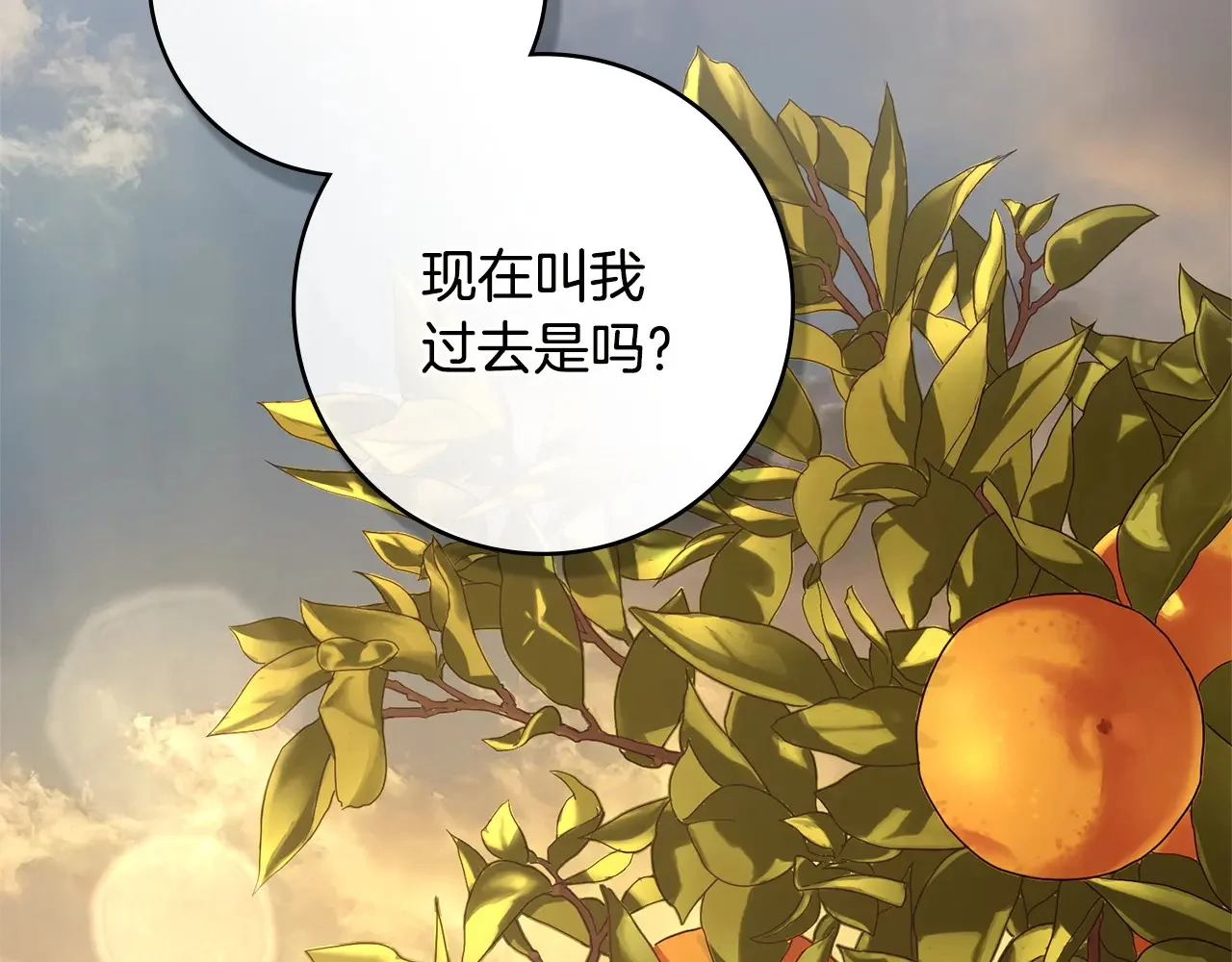 第243页