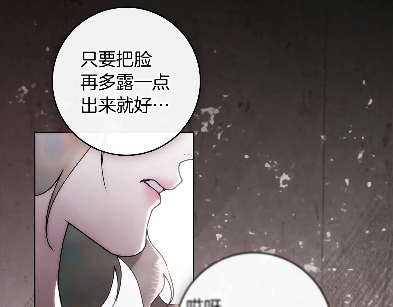 第204页