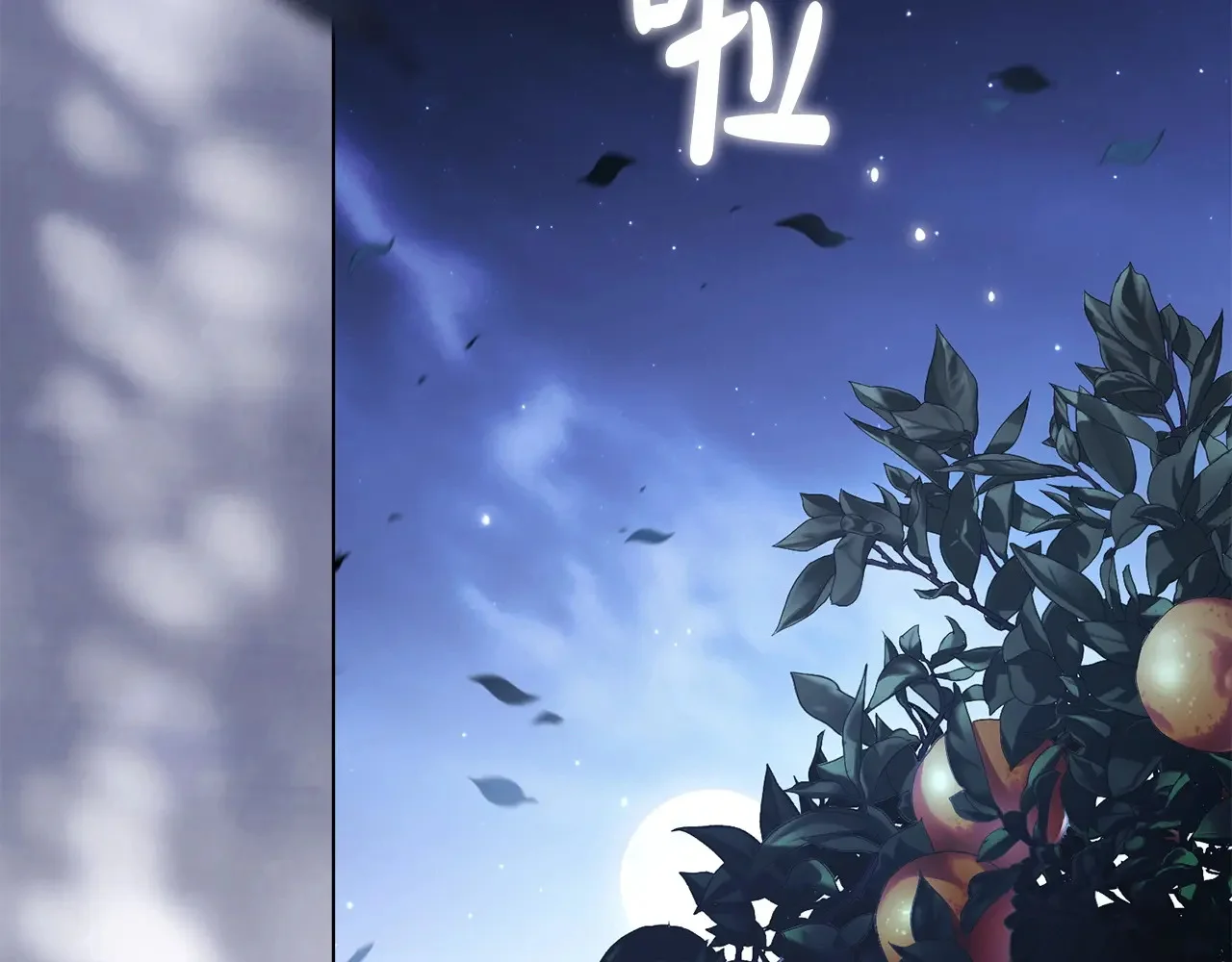 第462页