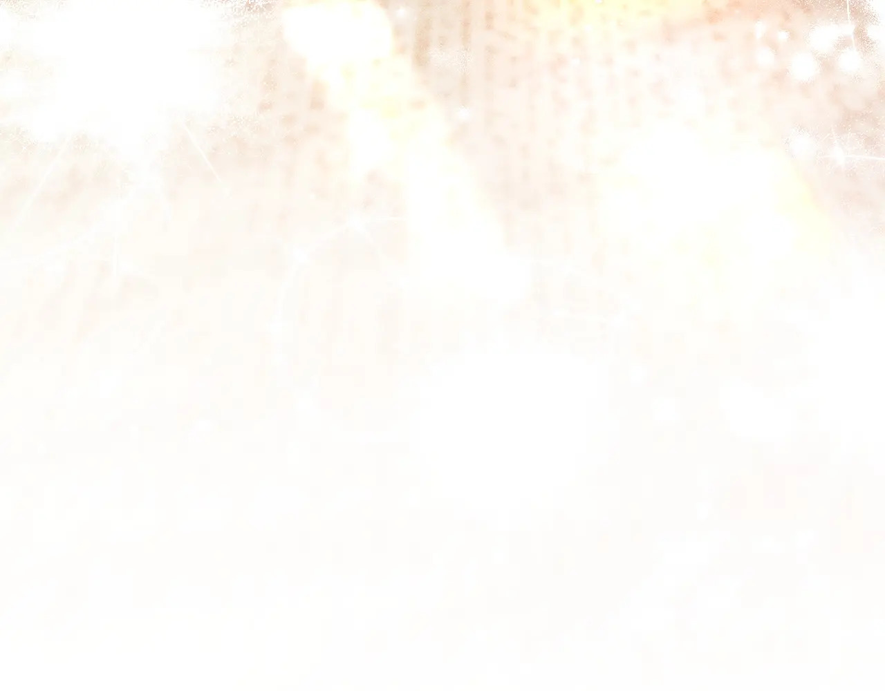 第504页