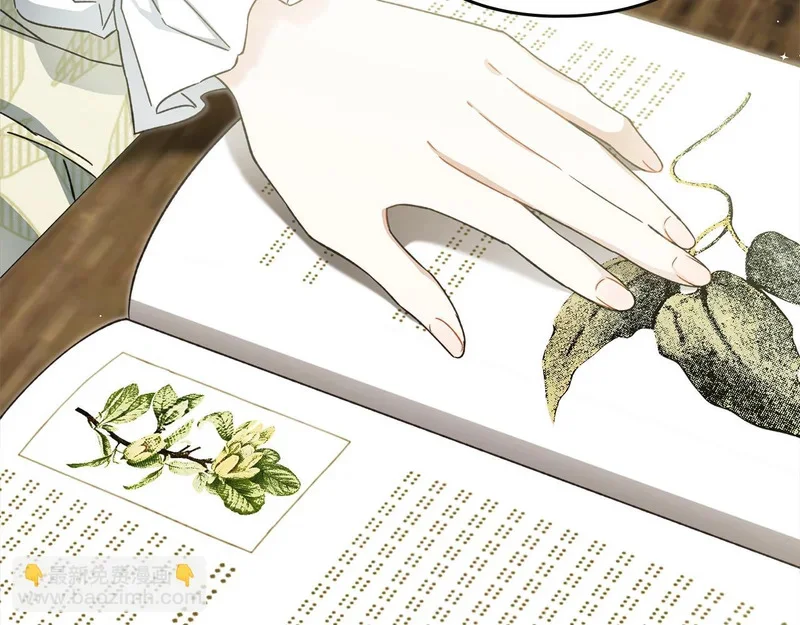 第291页