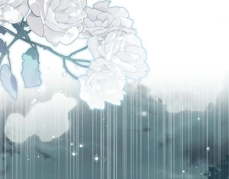 第537页