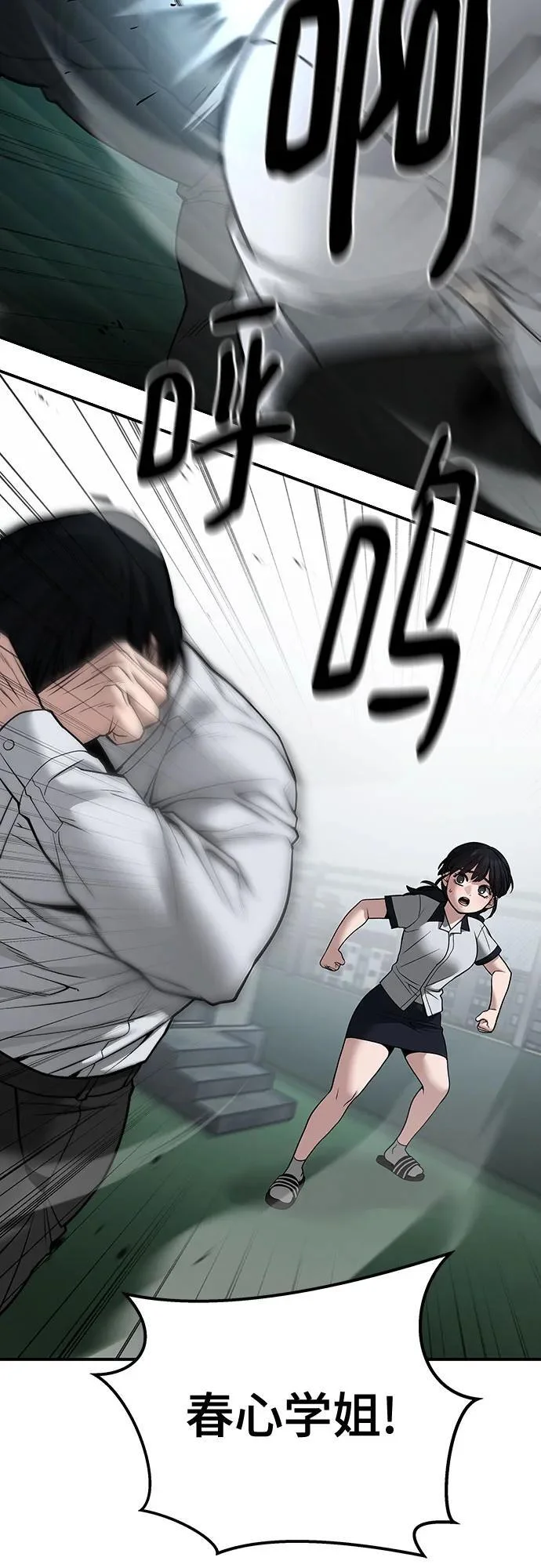第333页
