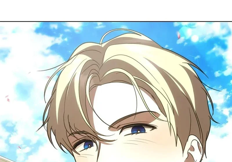 第234页