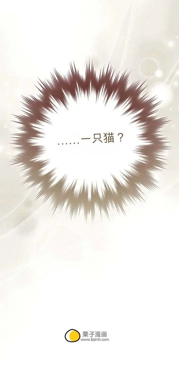 第261页