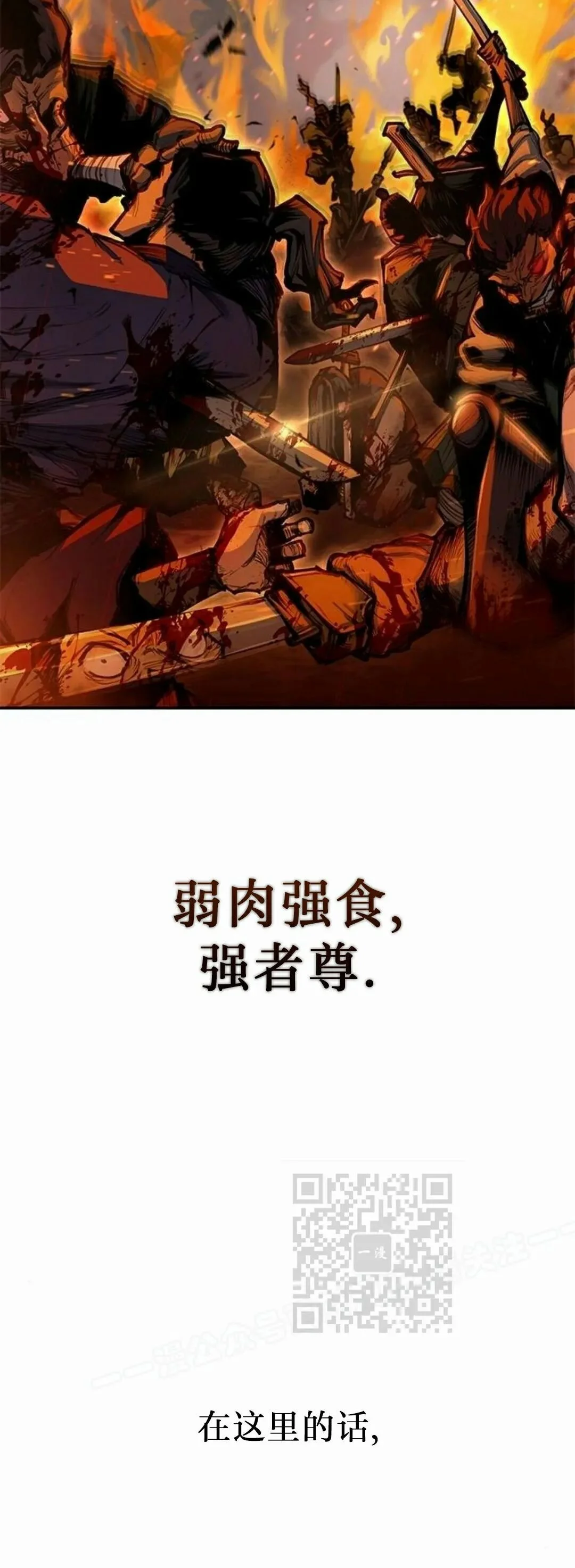 第216页