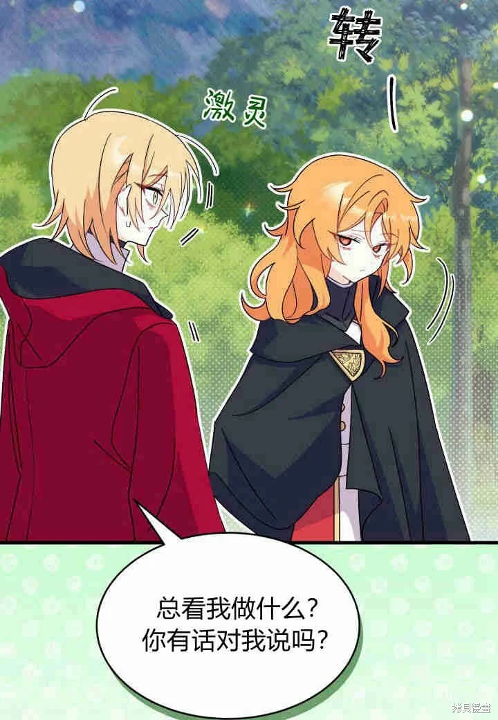 第207页