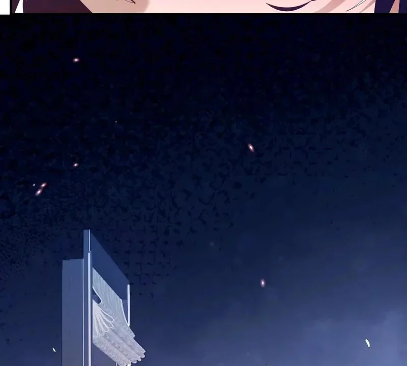 第255页