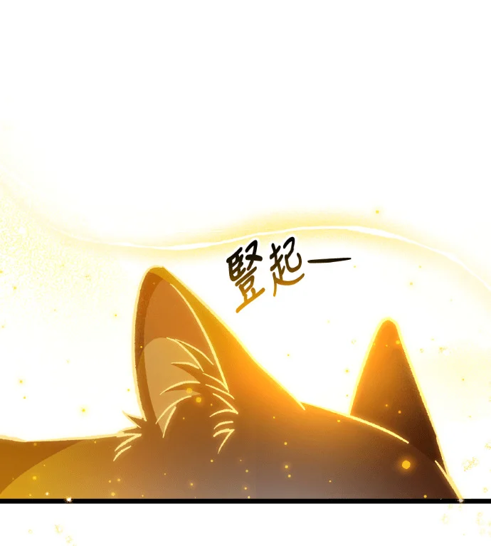 第771页