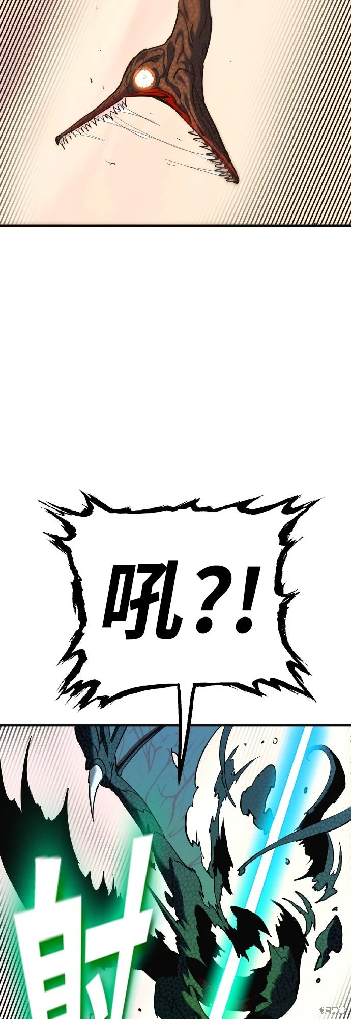 第528页