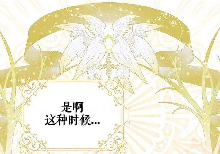第222页