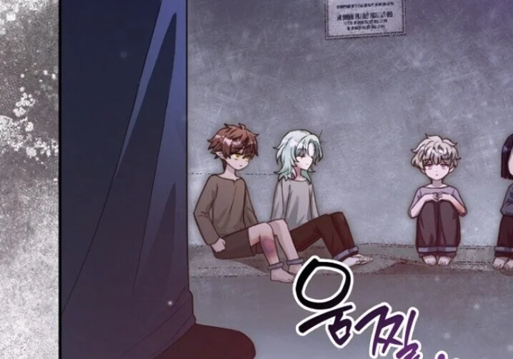第495页