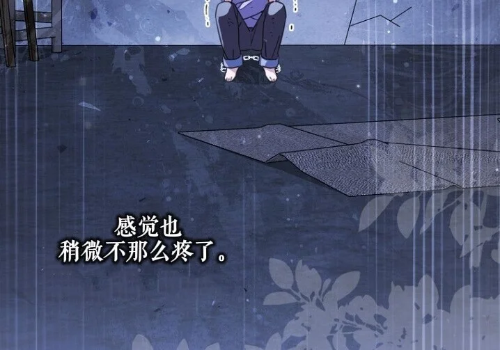 第219页
