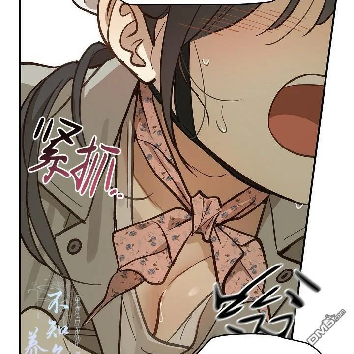 第303页