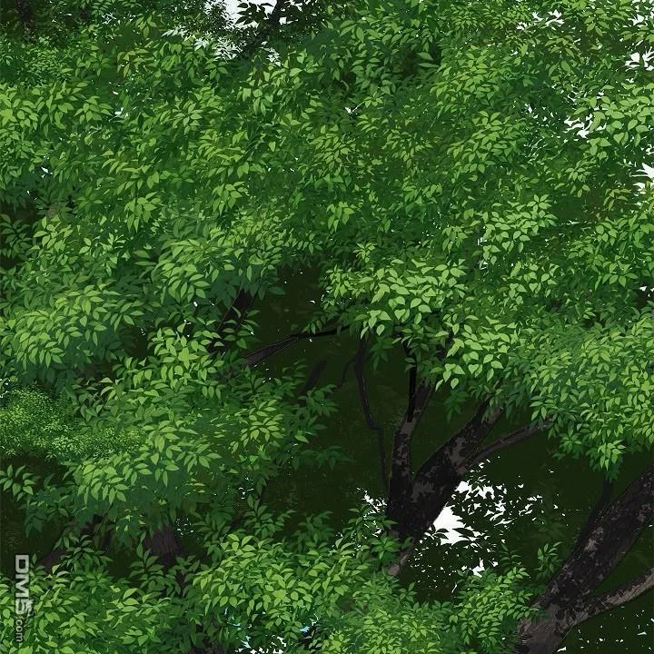 第183页