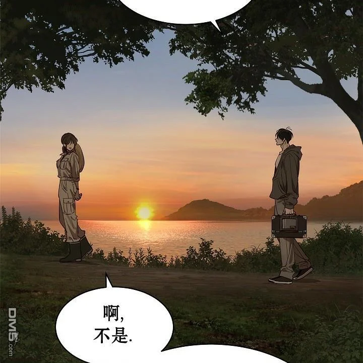 第231页