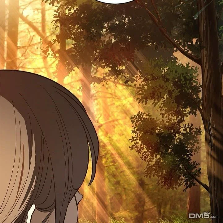 第369页