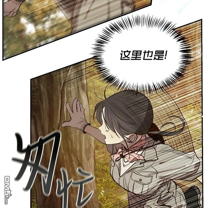 第333页