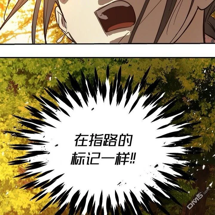 第339页
