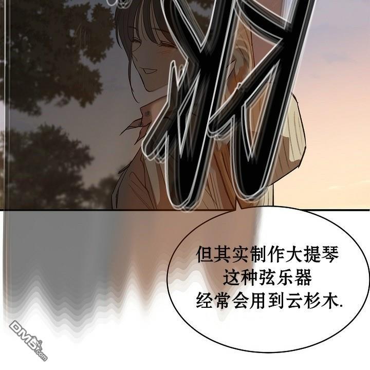 第282页