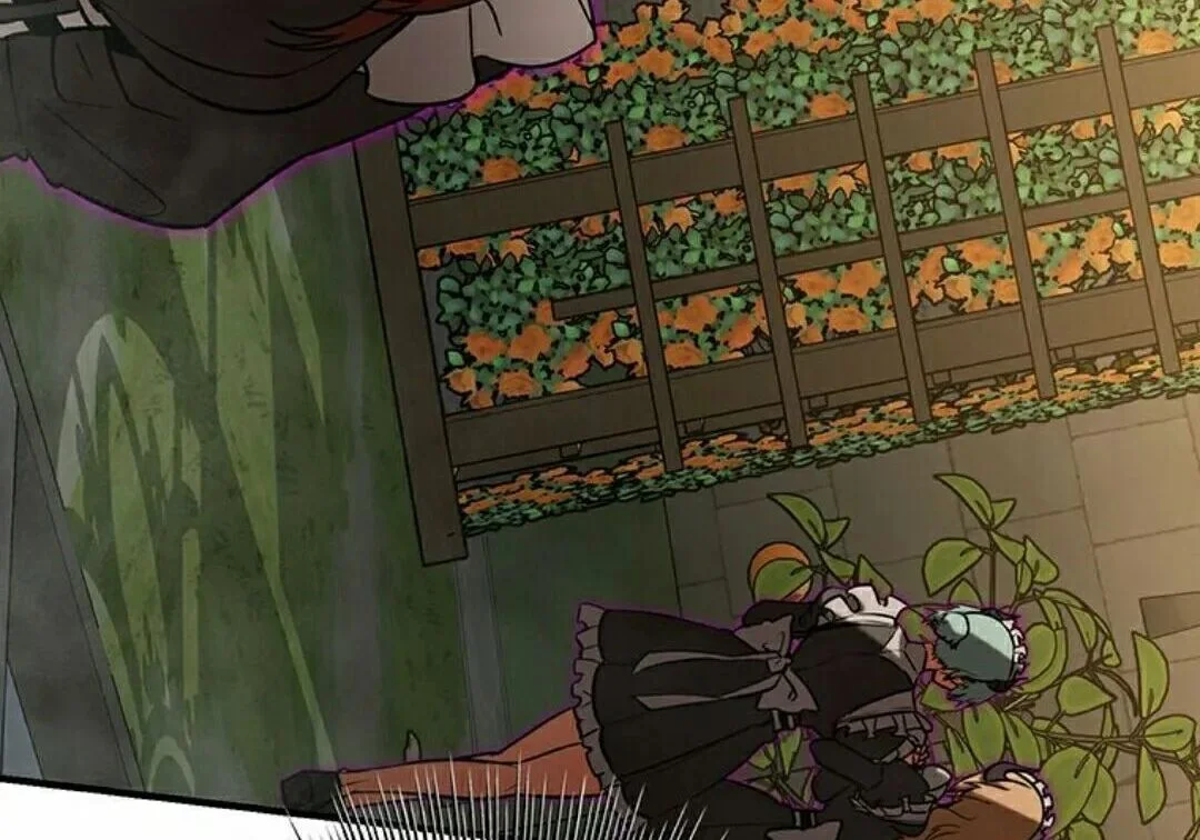 第204页