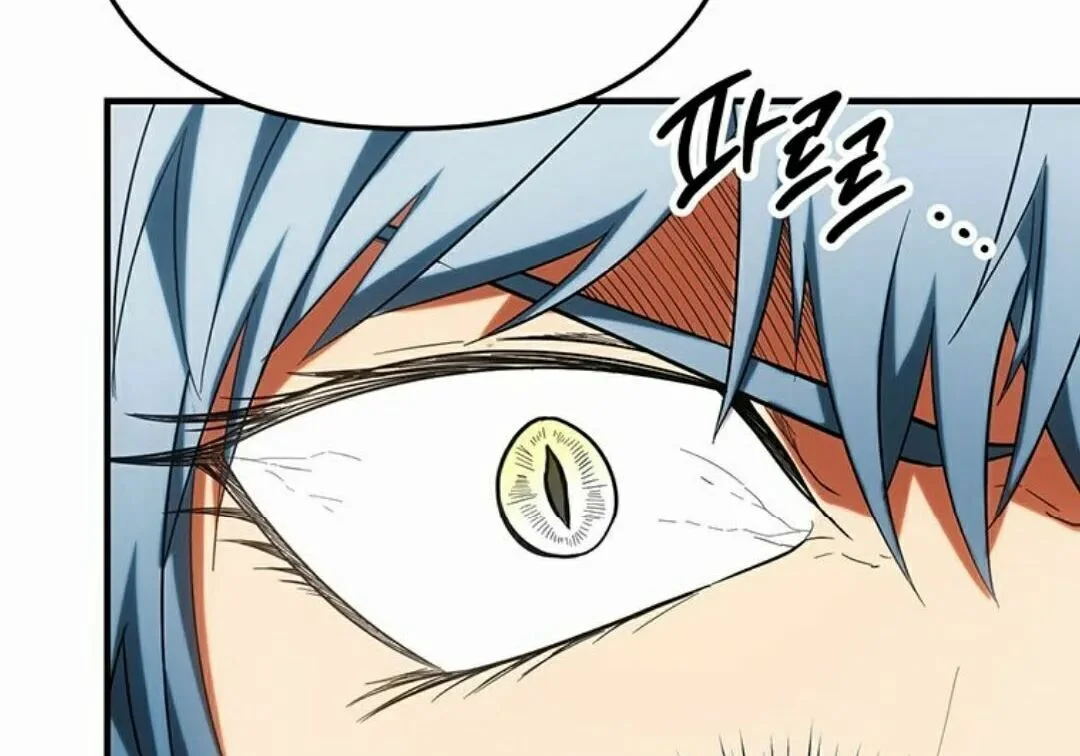 第246页