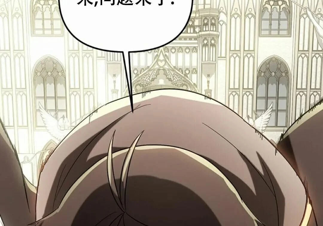 第231页