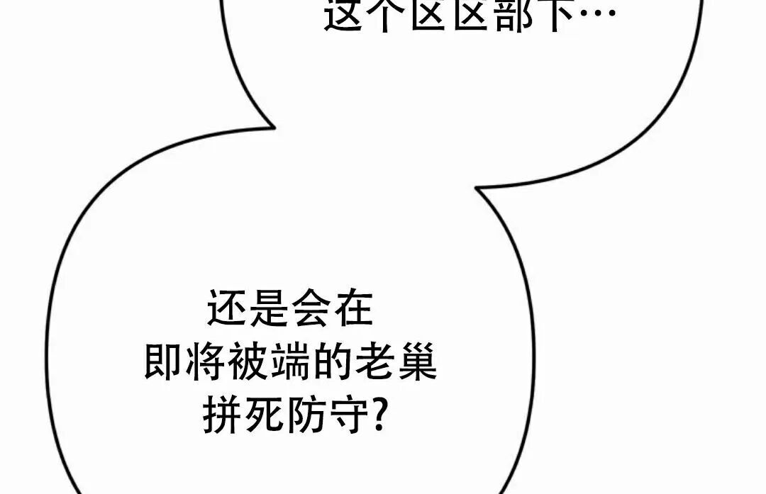第243页