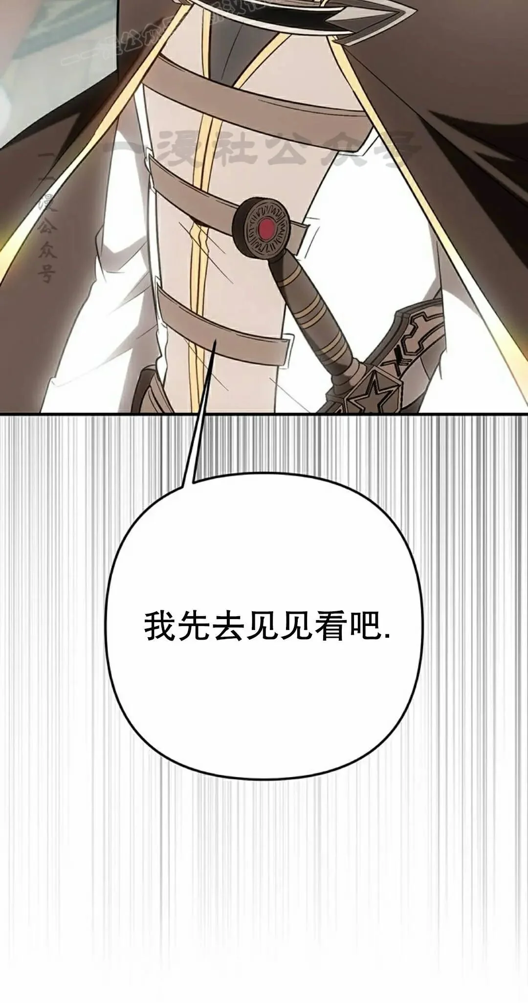 第207页