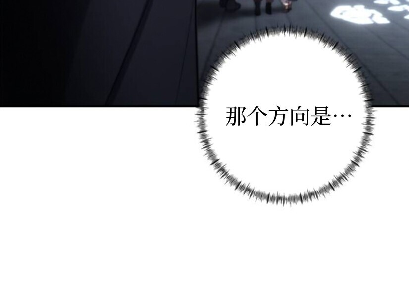 第411页