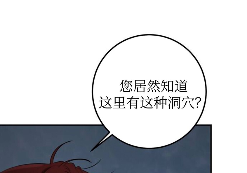 第255页