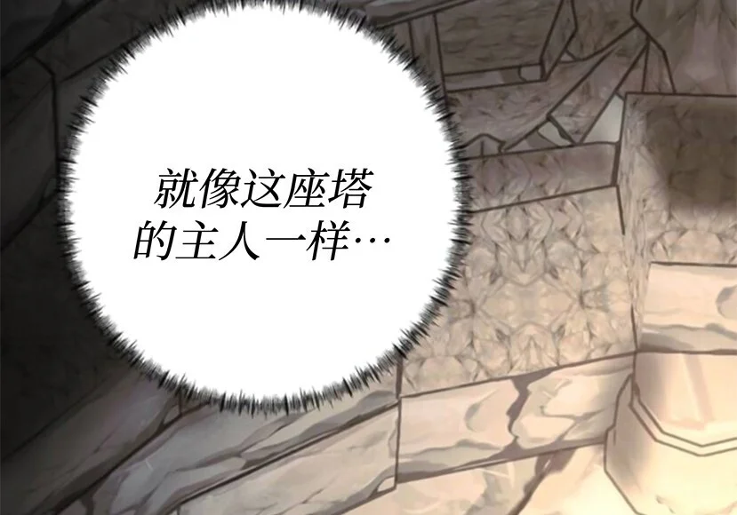 第543页