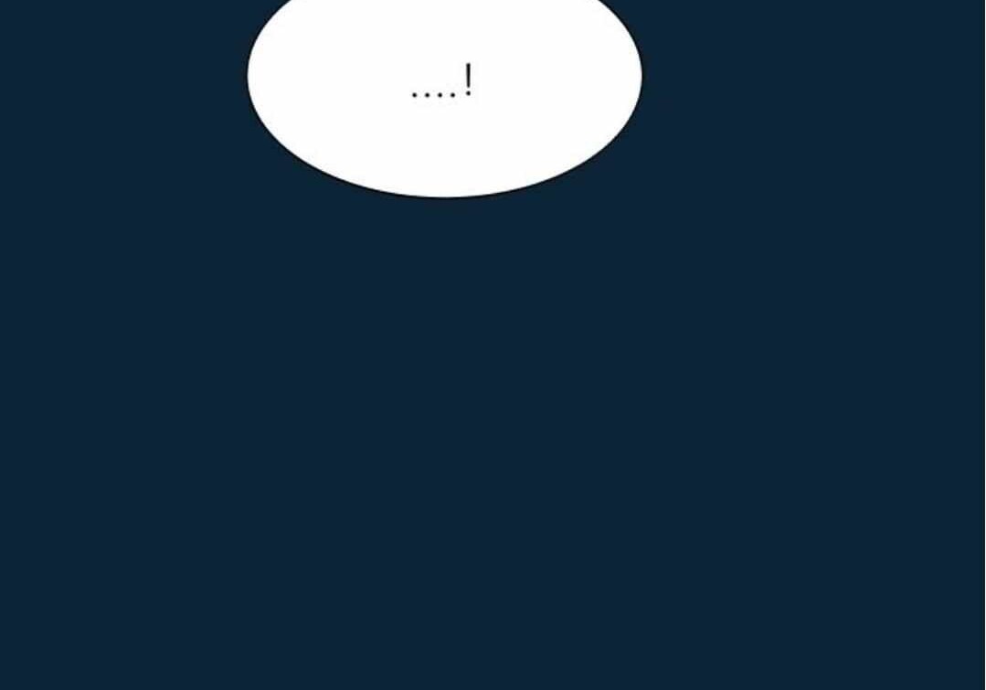 第567页