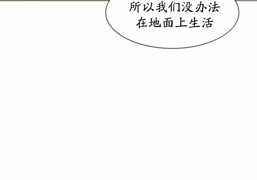 第297页