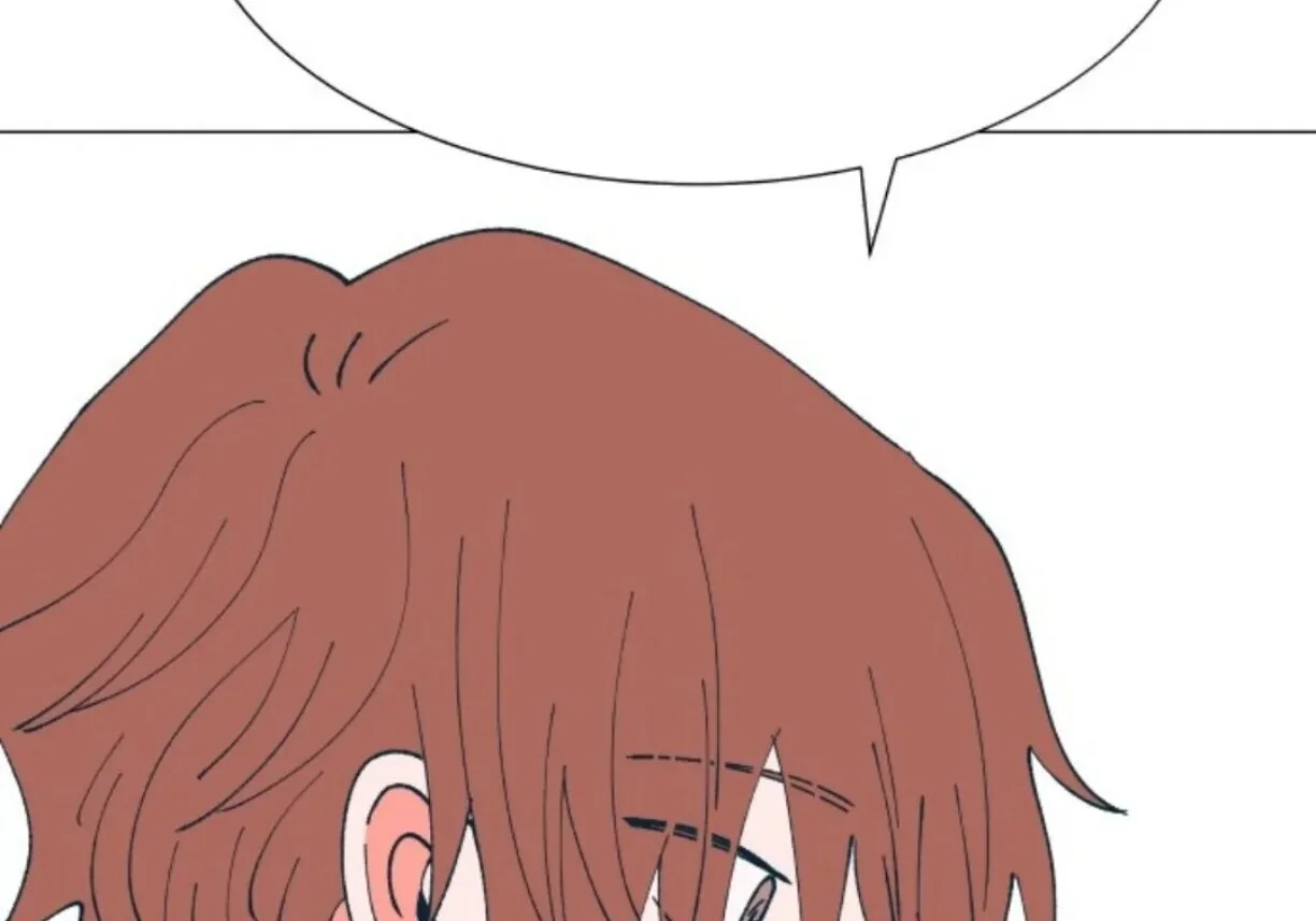 第558页