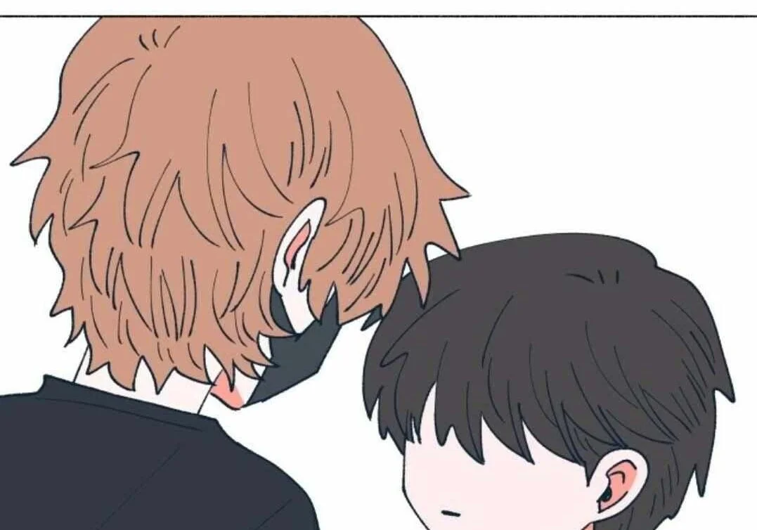 第585页