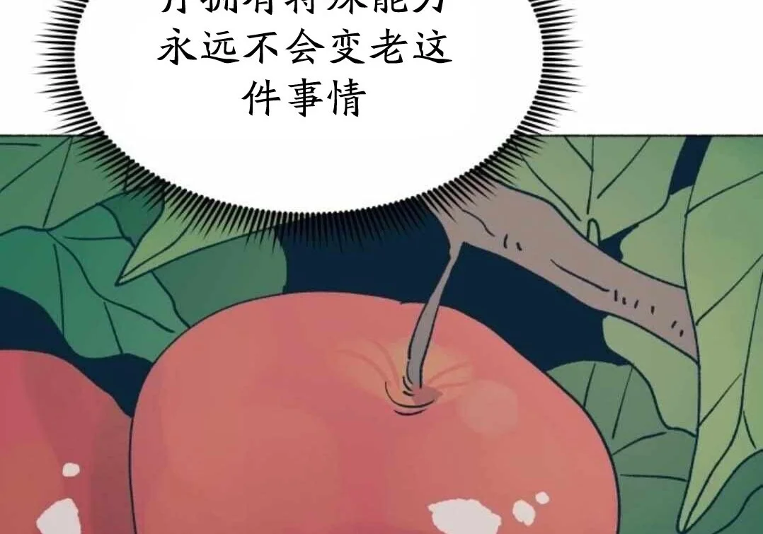 第411页
