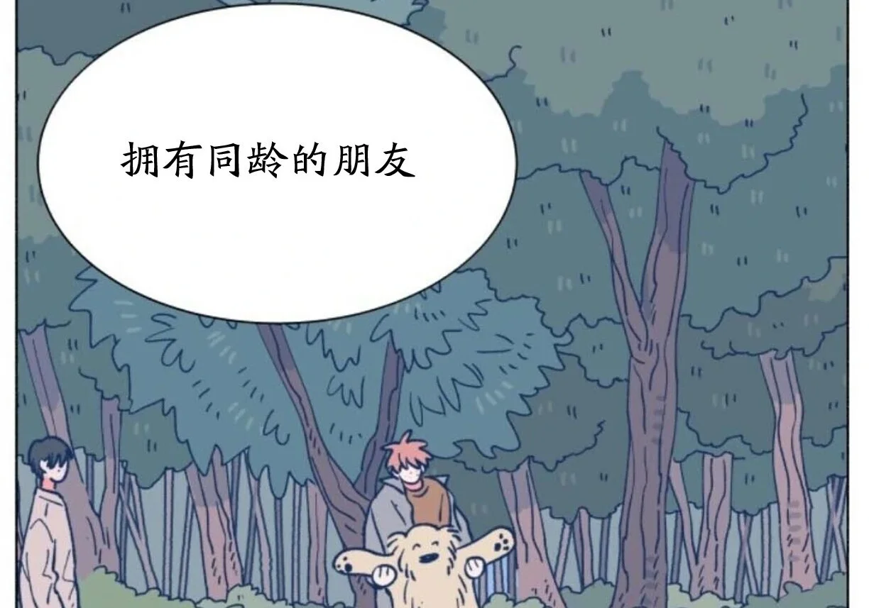 第513页
