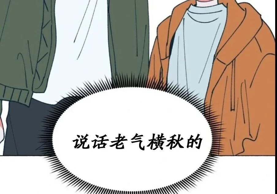 第204页