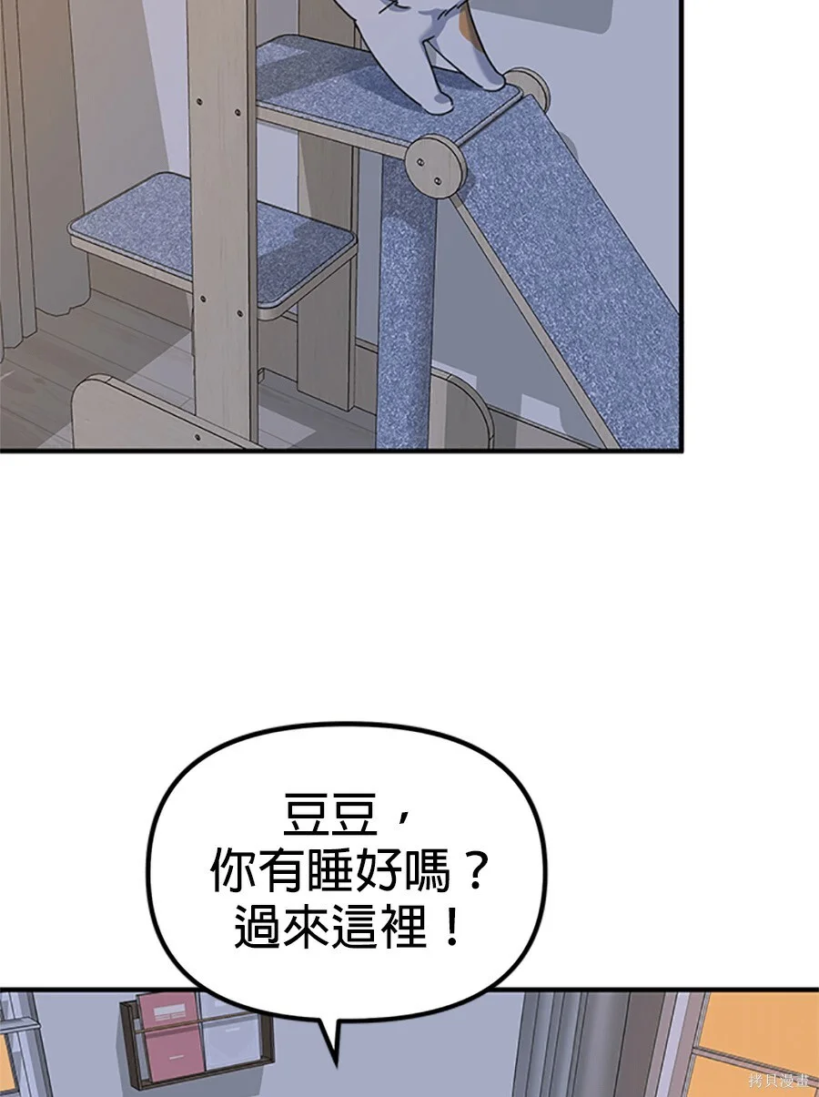 第282页